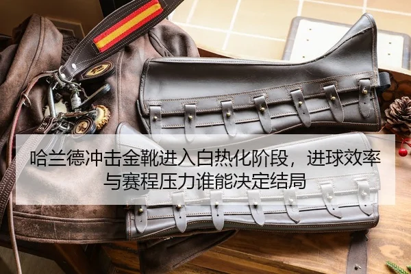 ha-lan-de-chong-ji-jin-xue-jin-ru-bai-re-hua-jie-duan-jin-qiu-xiao-lv-yu-sai-cheng-ya-li-shui-neng-jue-ding-jie-ju-3-732.jpg