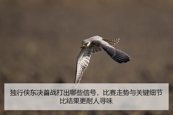 独行侠东决首战打出哪些信号，比赛走势与关键细节比结果更耐人寻味